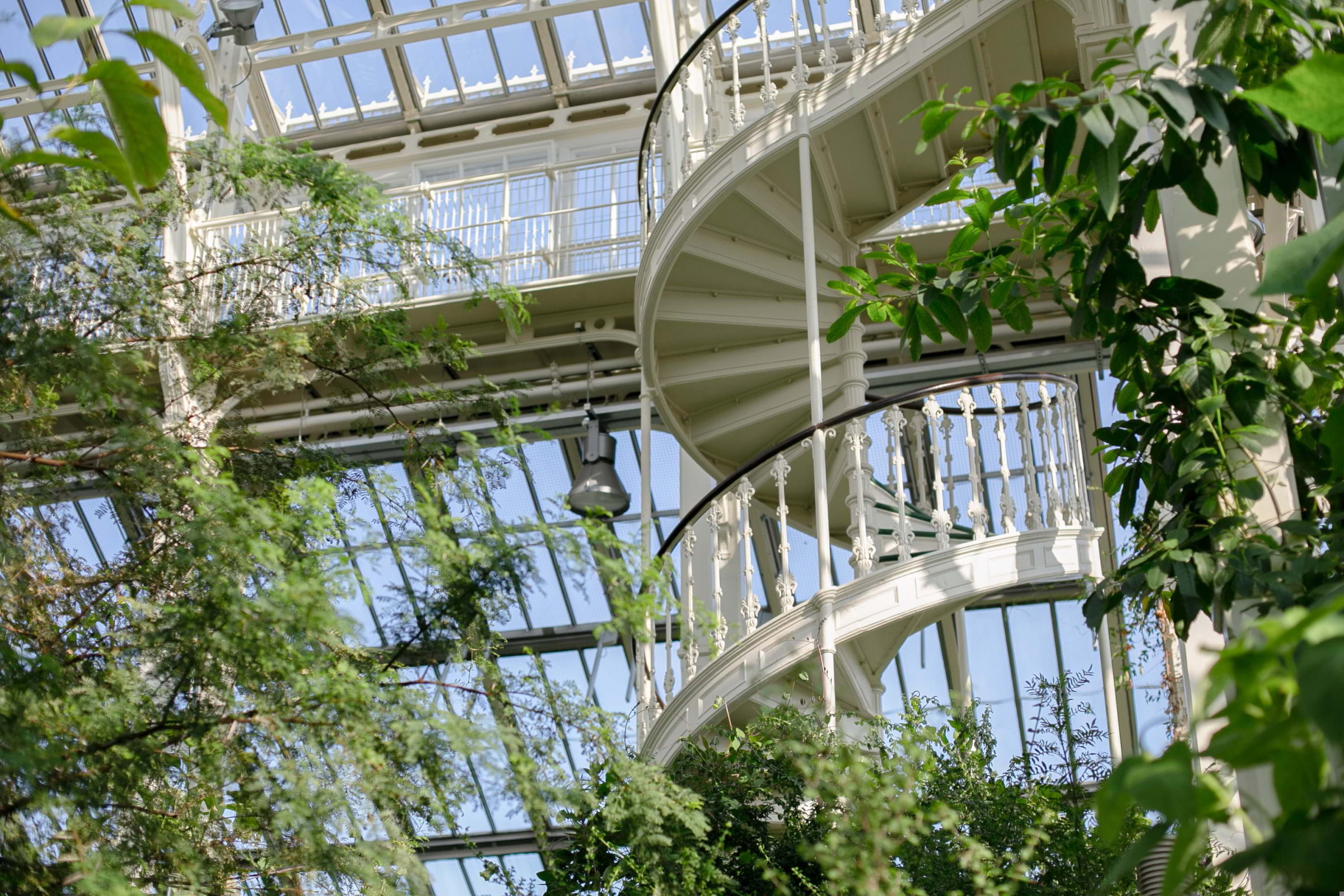 Guide to activities in London for nature lovers